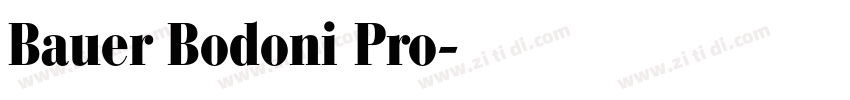 Bauer Bodoni Pro字体转换